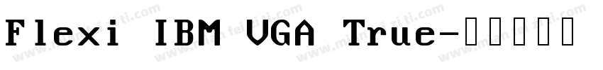 Flexi IBM VGA True字体转换